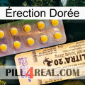 Érection Dorée new06